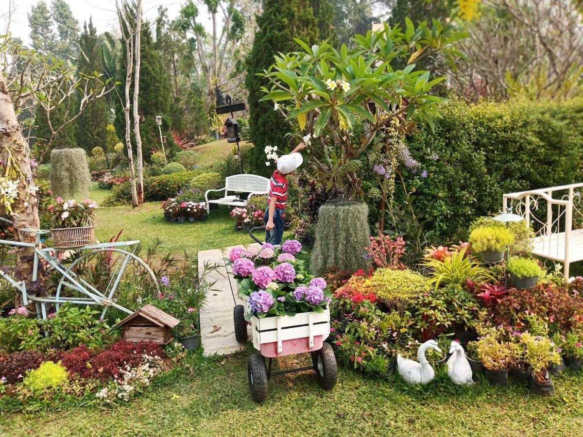 Baan Jaokorkluay บ้านเจ้ากอกล้วย Чианг Рай Екстериор снимка